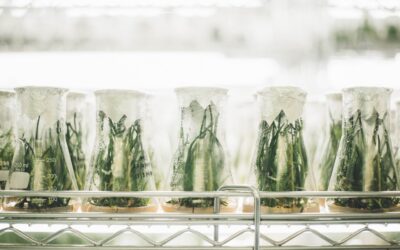 Eligiendo temas de investigación: los frentes de investigación de Essential Science Indicators