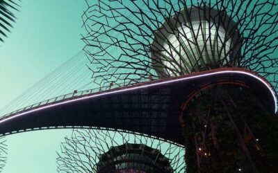 Consorcio Madroño: veinte años de apoyo a la investigación